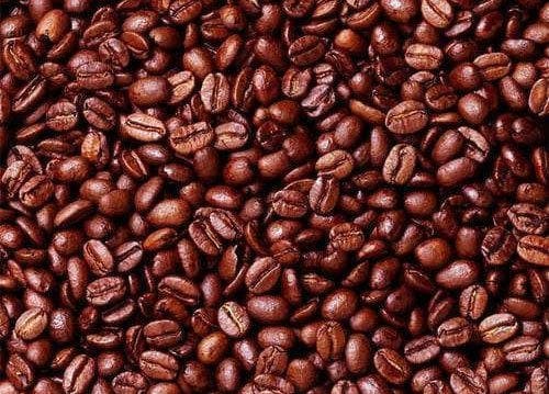Cocoa Seeds